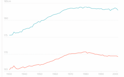Why is the average height of the world’s tallest country declining?