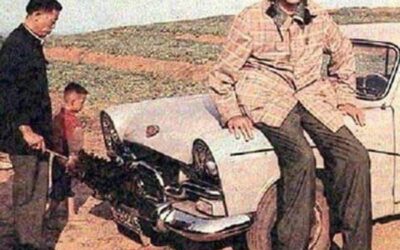 Who was Zeng Jinlian, the tallest woman of all time?