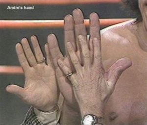 The legend of andre the giant