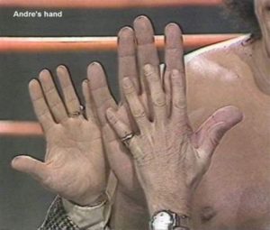 The legend of Andre the Giant