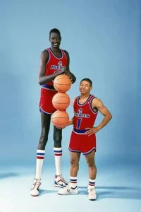 Who are the tallest athletes of all time?
