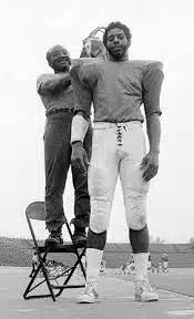 Who are the tallest athletes of all time?

