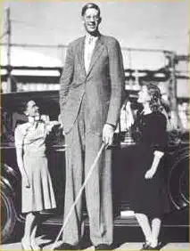  The Tallest Men in History: A Guinness-Verified Ranking