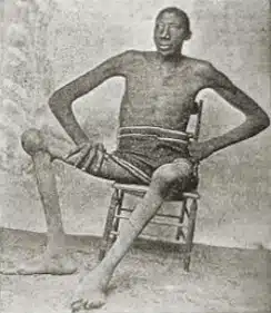  The Tallest Men in History: A Guinness-Verified Ranking