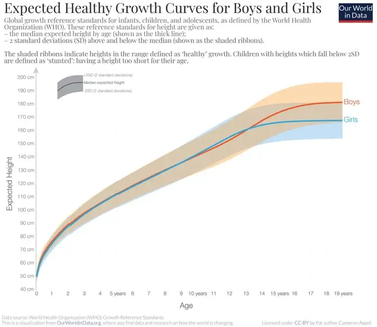 What factors determine our height? The complete study!
